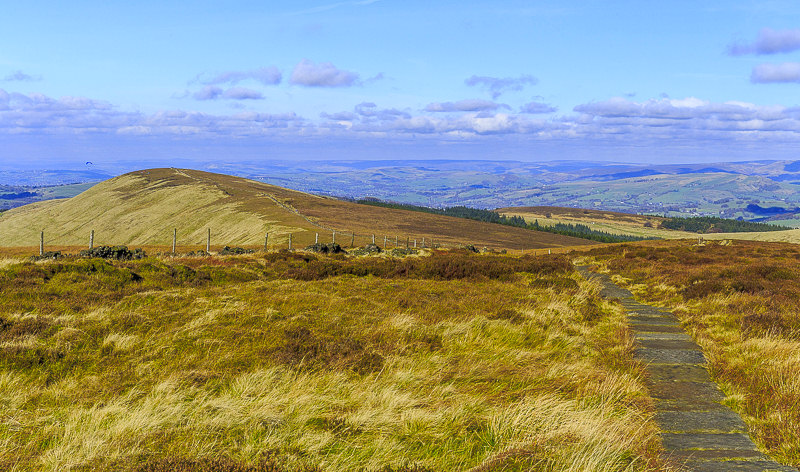 The Tors